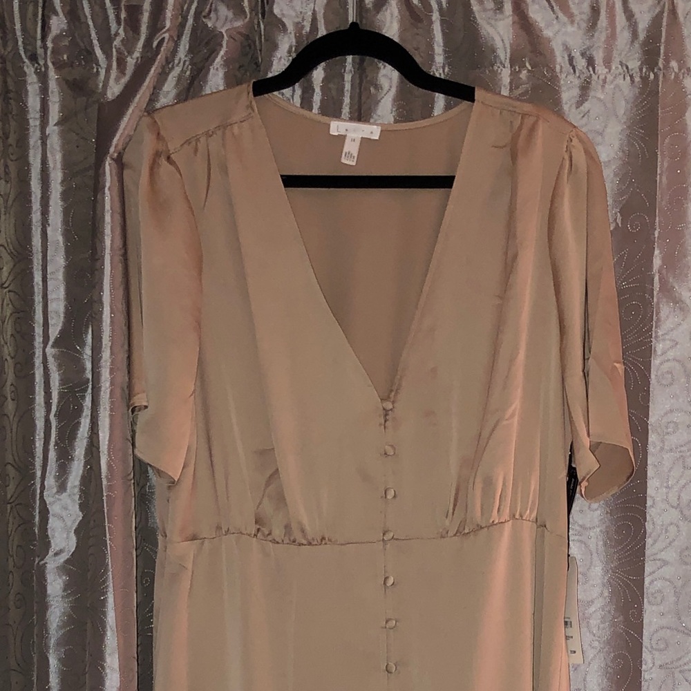 Silk Plus size ankle length dress from Nordstrom